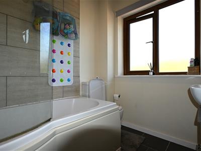 Picture 24
